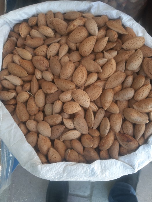 تصویر 1 از قیمت بادام شاهرودی بازار داخلی + فروش عمده