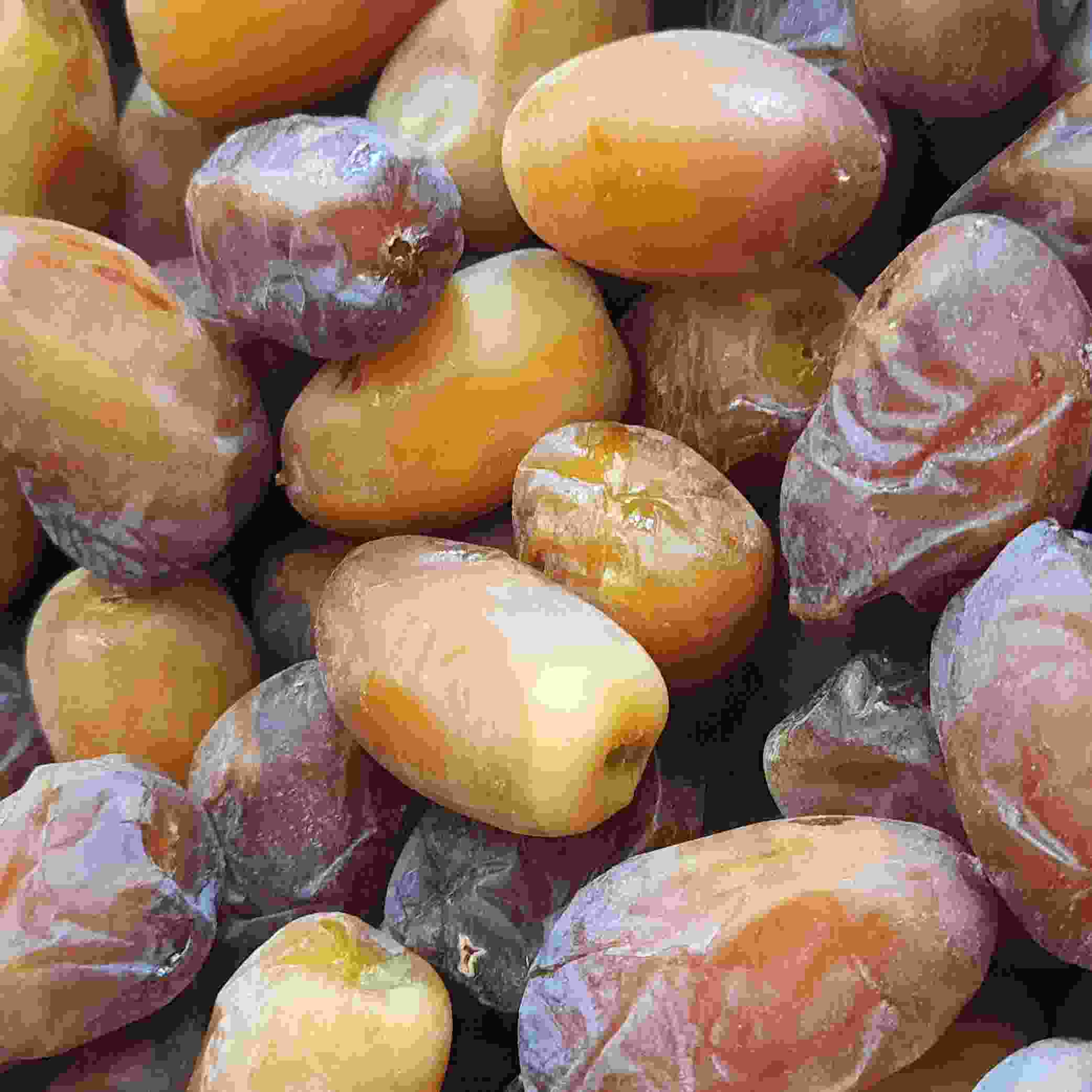 تصویر 1 از قیمت خرید رطب کبکاب بوشهر + ارزان و به صرفه