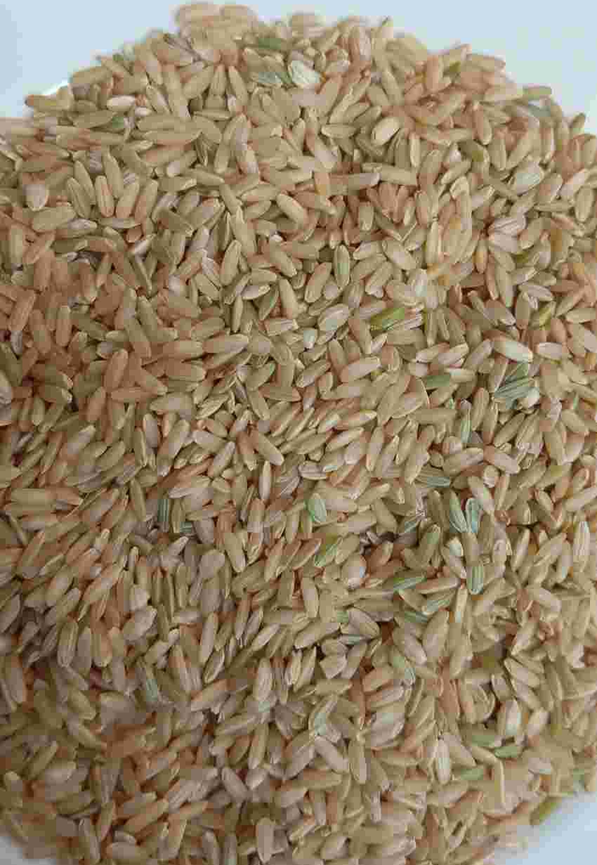 تصویر 1 از برنج سبوس‌ دار کامفیروز + لیزر شده