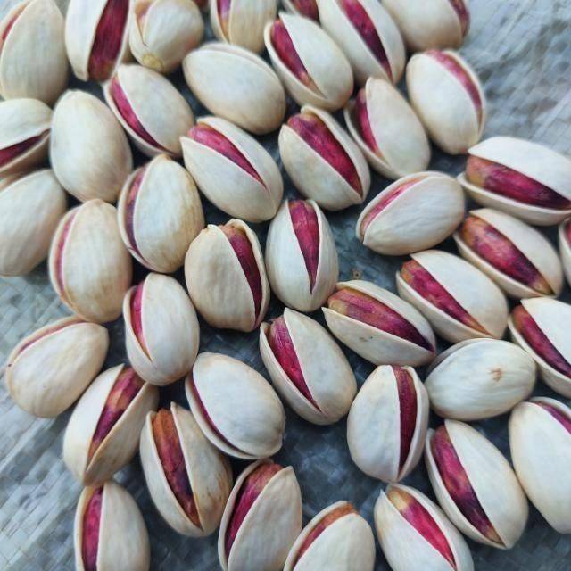 تصویر 4 از قیمت پسته درجه یک صادراتی + خرید باور نکردنی