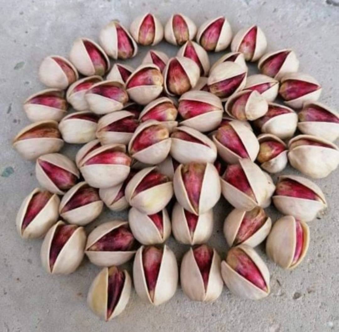 تصویر 2 از فروش پسته کله قوچی صادراتی + قیمت خرید به صرفه