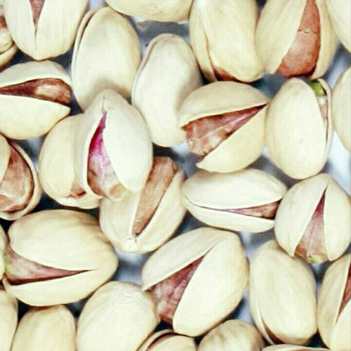 تصویر 3 از فروش پسته کله قوچی صادراتی + قیمت خرید به صرفه