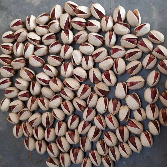 تصویر 2 از قیمت خرید پسته کله قوچی رفسنجان با فروش عمده