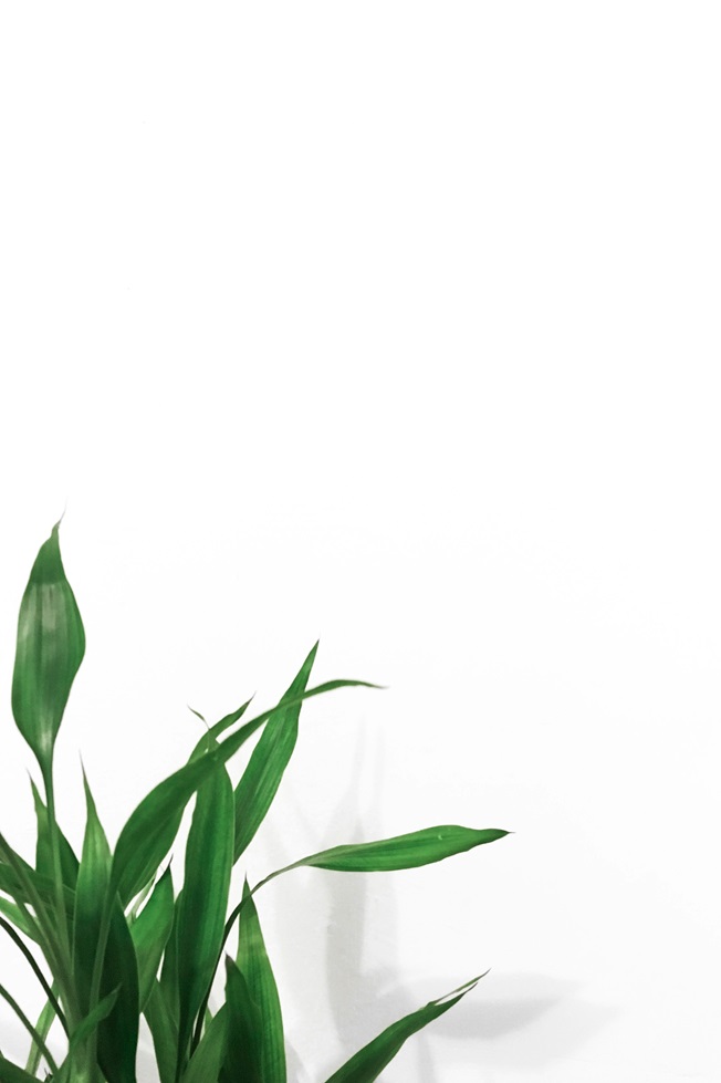 تصویر 1 از کد 203 مرمرفام انتخاب طراحان برای فضایی شیک و روشن
