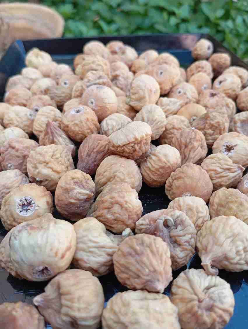 خرید انجیر قم