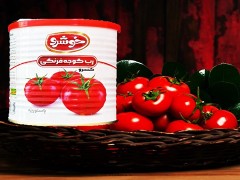 تصویر 3 از قیمت عمده رب گوجه ناخدا