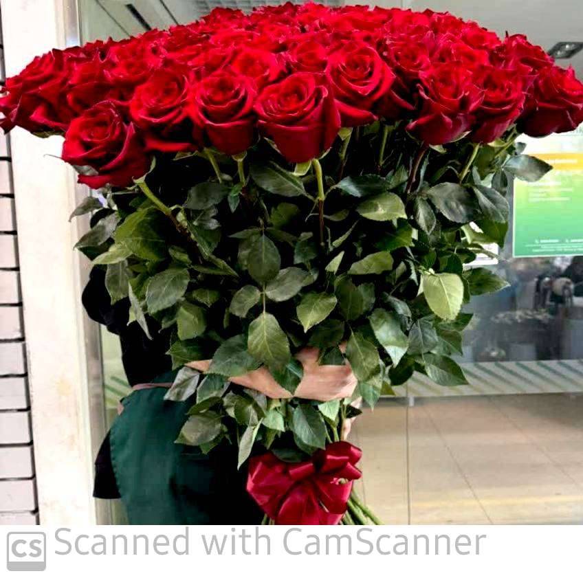 تصویر 1 از قیمت باورنکردنی گل سرشاخه رز