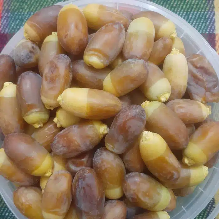 تصویر 3 از قیمت خرید رطب کبکاب بوشهر در بازار داخلی