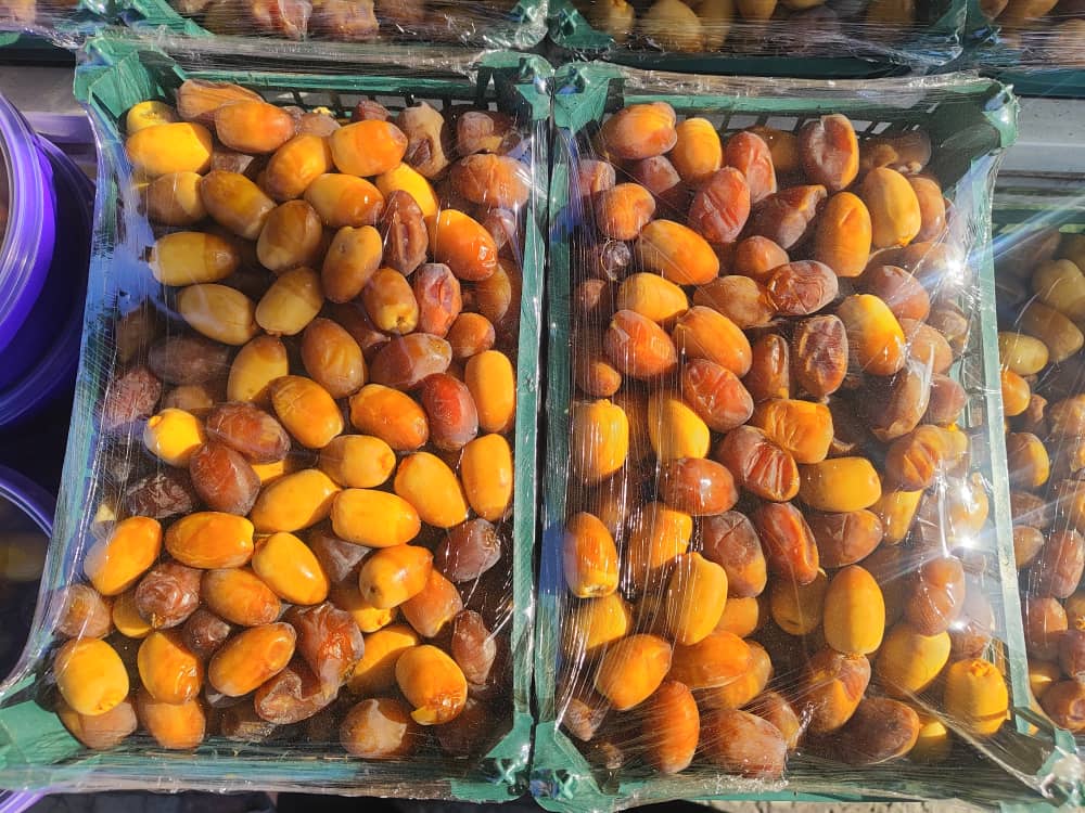 تصویر 2 از خرید و فروش رطب خشتی خوزستان