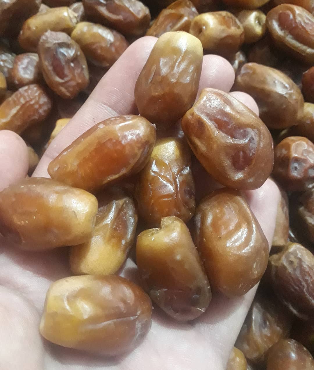 تصویر 2 از خرید و فروش خرمای زاهدی درجه یک لوکس