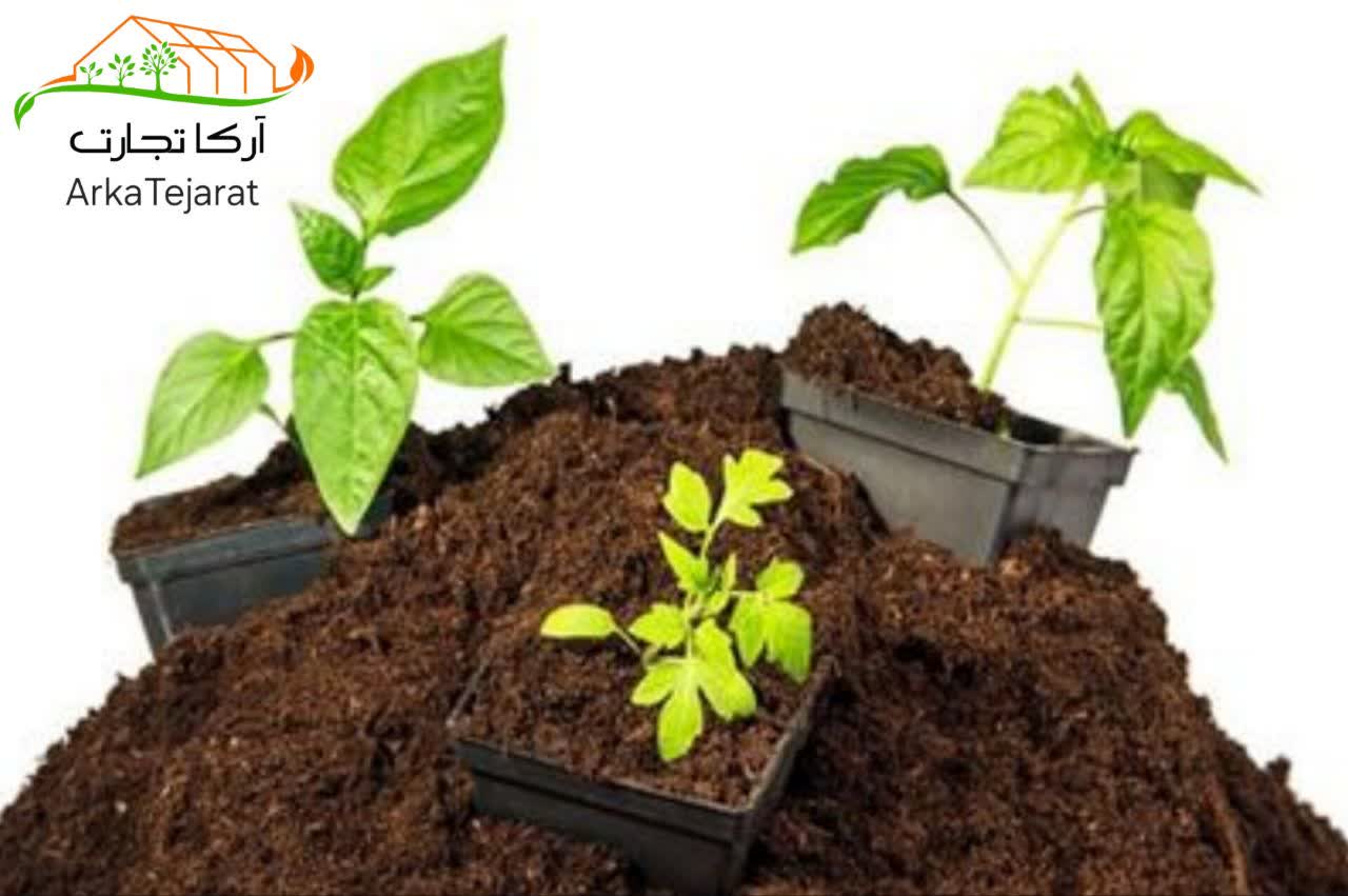 تصویر 4 از فروش کوکوپیت در تهران خریدی ارزان و بدون واسطه