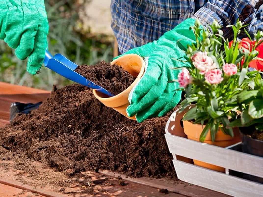 تصویر 5 از فروش کوکوپیت قالبی قیمت استثنایی و بی نظیر