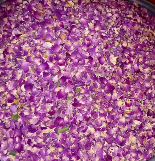 لیست قیمت پر گل محمدی خشک داراب شیراز + فردش عمده