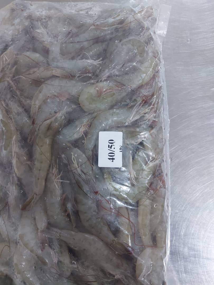 تصویر 1 از قیمت عمده میگو منجمد بوشهر