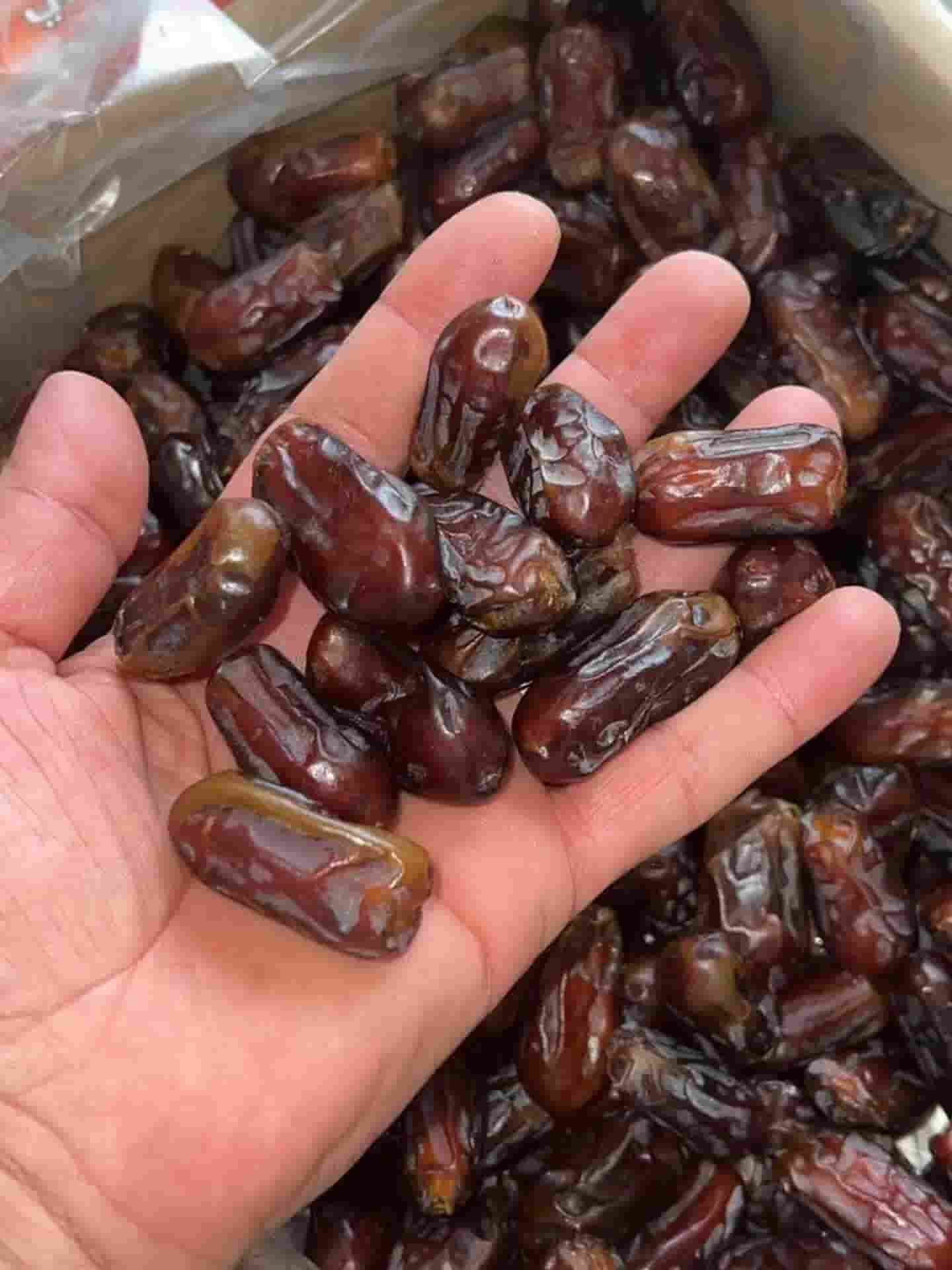 قیمت خرما استعمران سلکت صادراتی