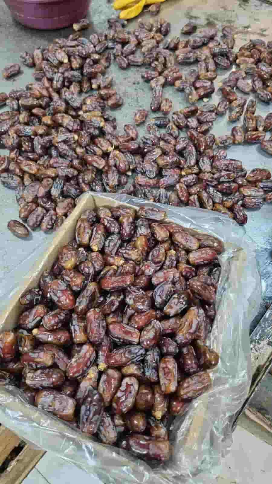 تصویر 2 از قیمت خرما استعمران سلکت صادراتی