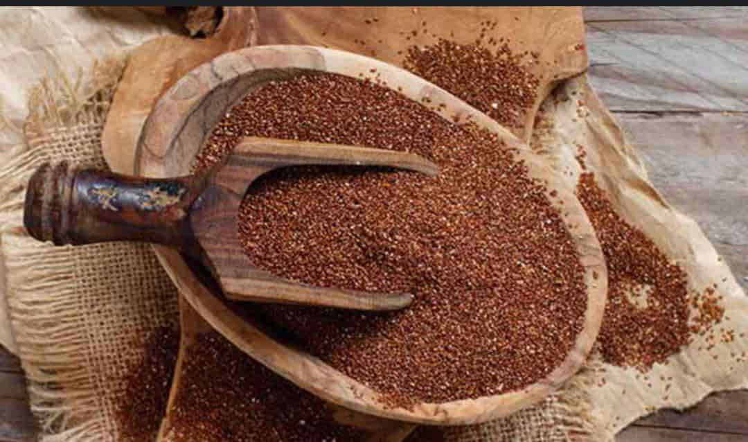 تصویر 3 از قیمت خرید خاکشیر تمیز صادراتی