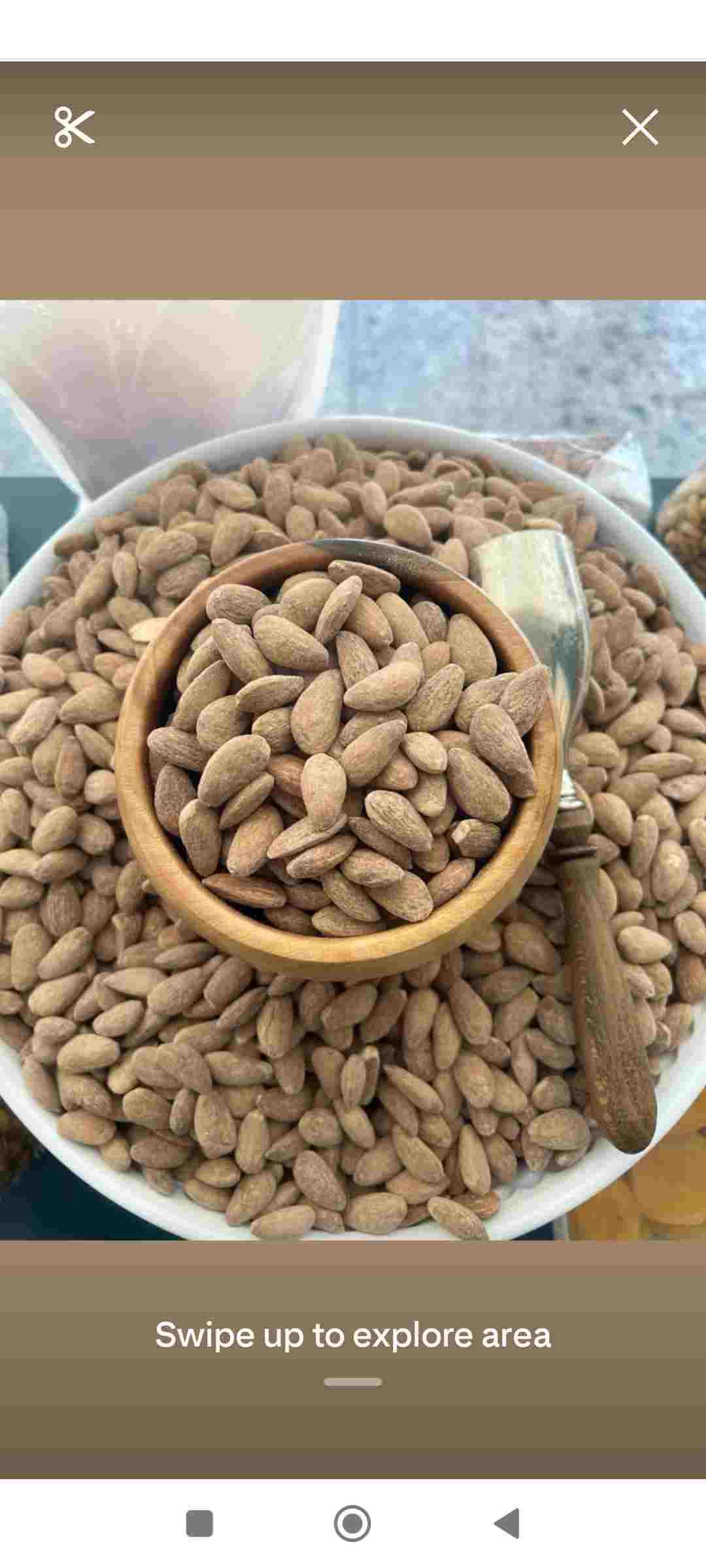 تصویر 2 از قیمت بادام سنگی شیرین درجه یک + فروش عمده
