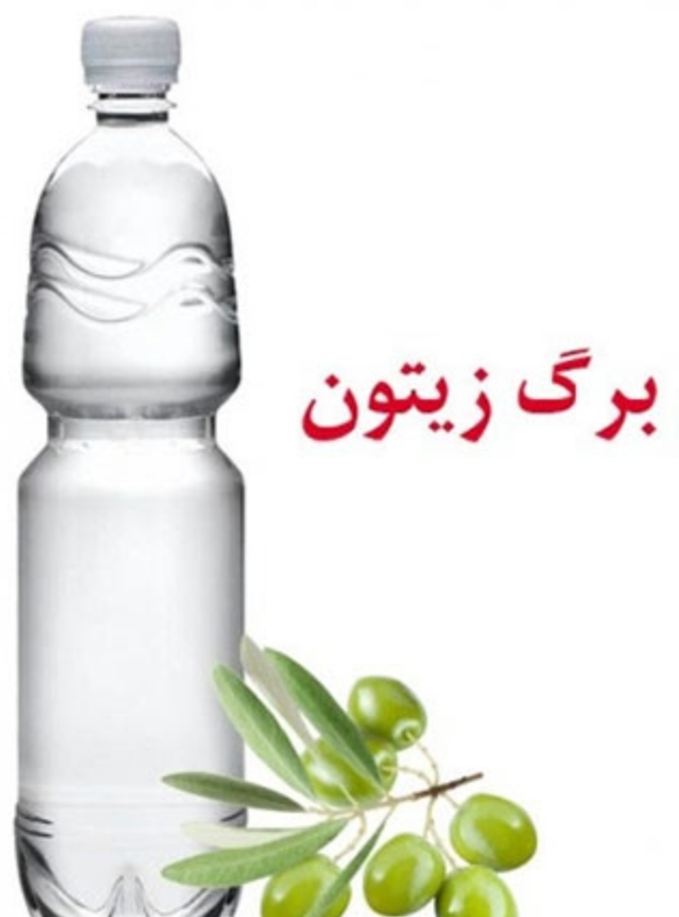 تصویر 4 از خرید و فروش عمده عرق برگ زیتون با شرایط فوق العاده