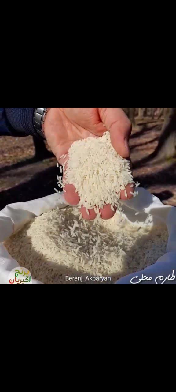 تصویر 5 از خرید برنج کامفیروز درجه یک از سد درودزن