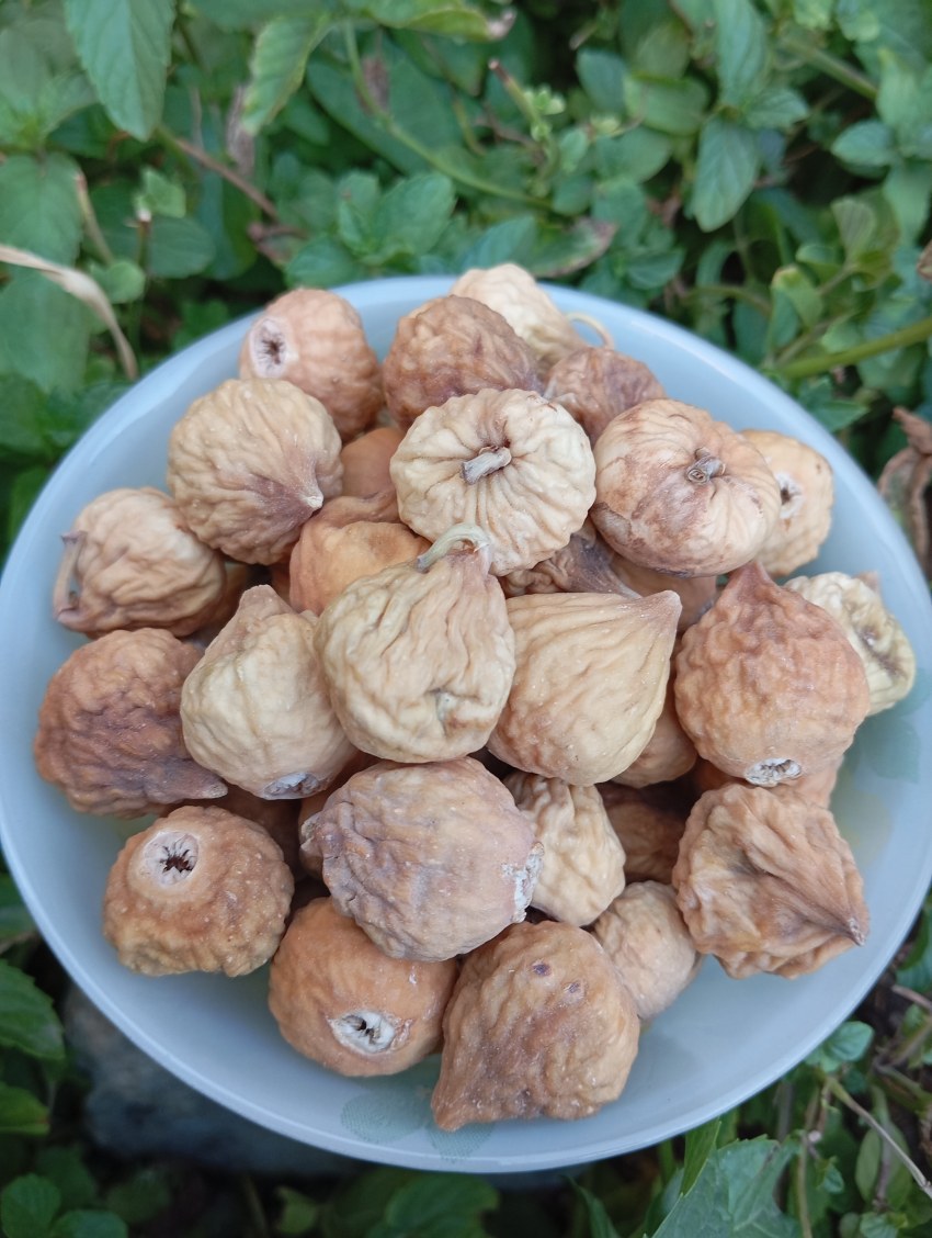 تصویر 3 از انجیر خشک استهبان طارم