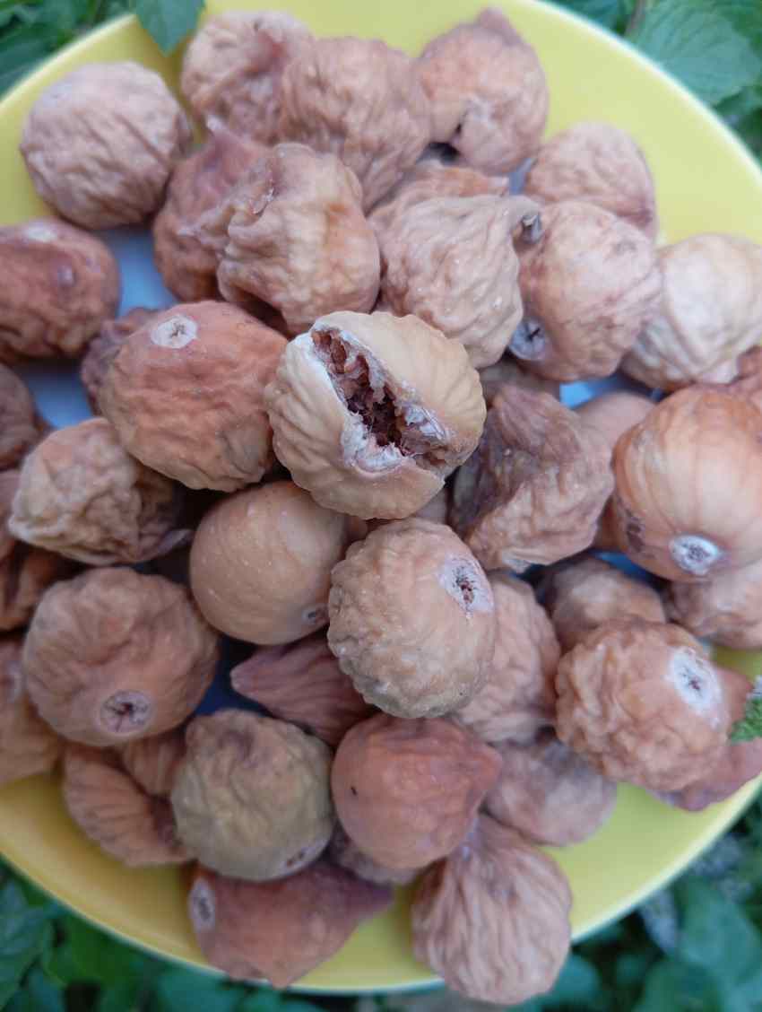 تصویر 4 از انجیر خشک استهبان دو رنگ