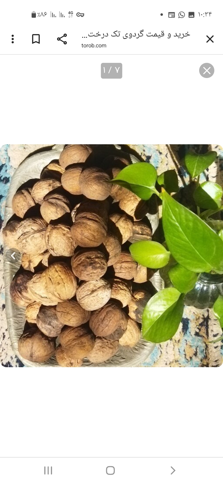 تصویر 1 از قیمت گردو مرند آذربایجان شرقی