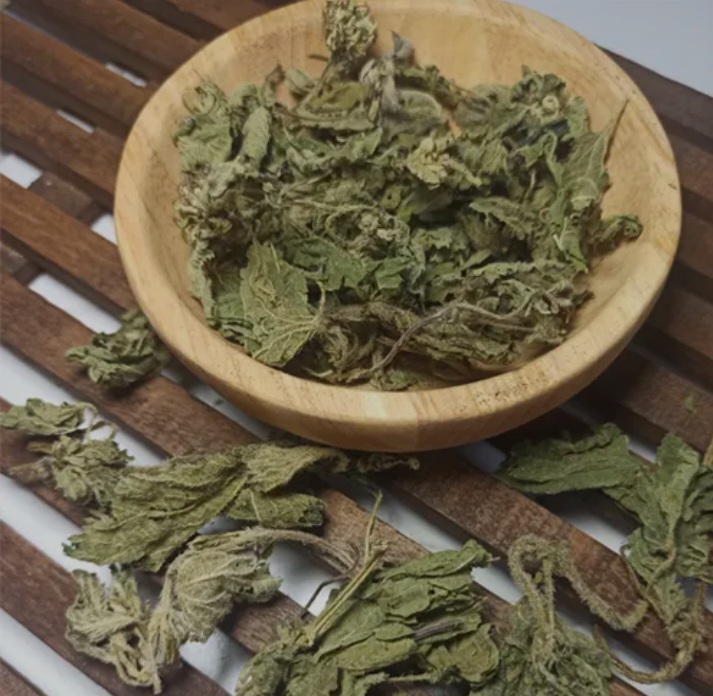 تصویر 2 از گیاه گزنه مرغوب