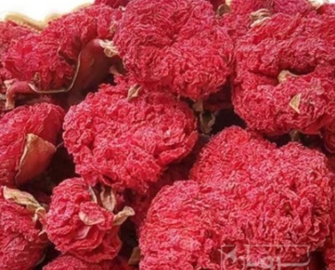 خرید گیاه گلنار