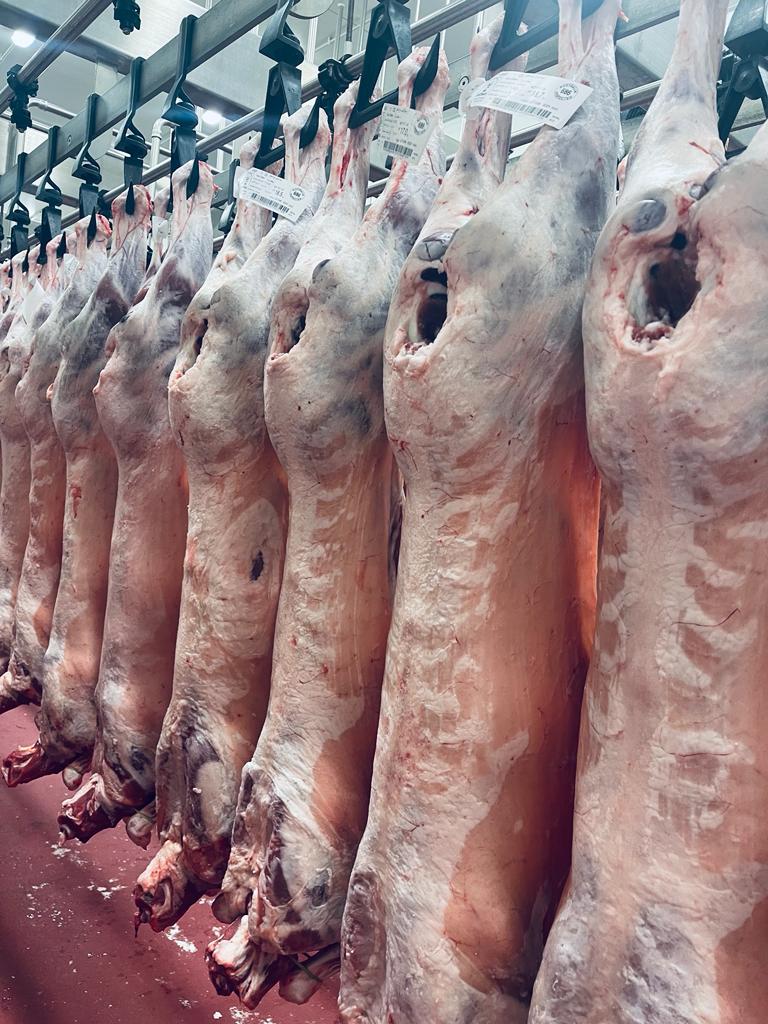 تصویر 4 از خرید گوشت گوسفندی استرالیایی