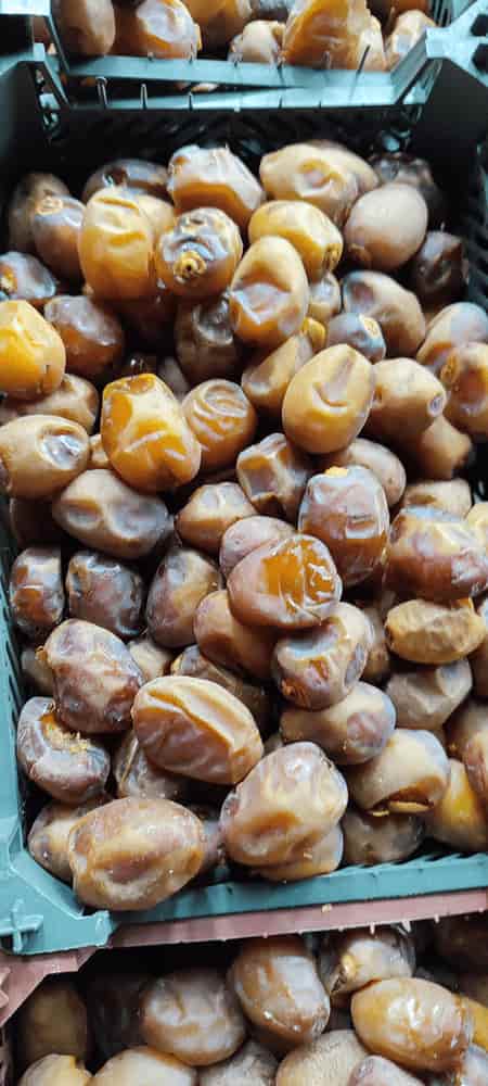 تصویر 1 از قیمت رطب و خارک برحی درجه یک آبادان