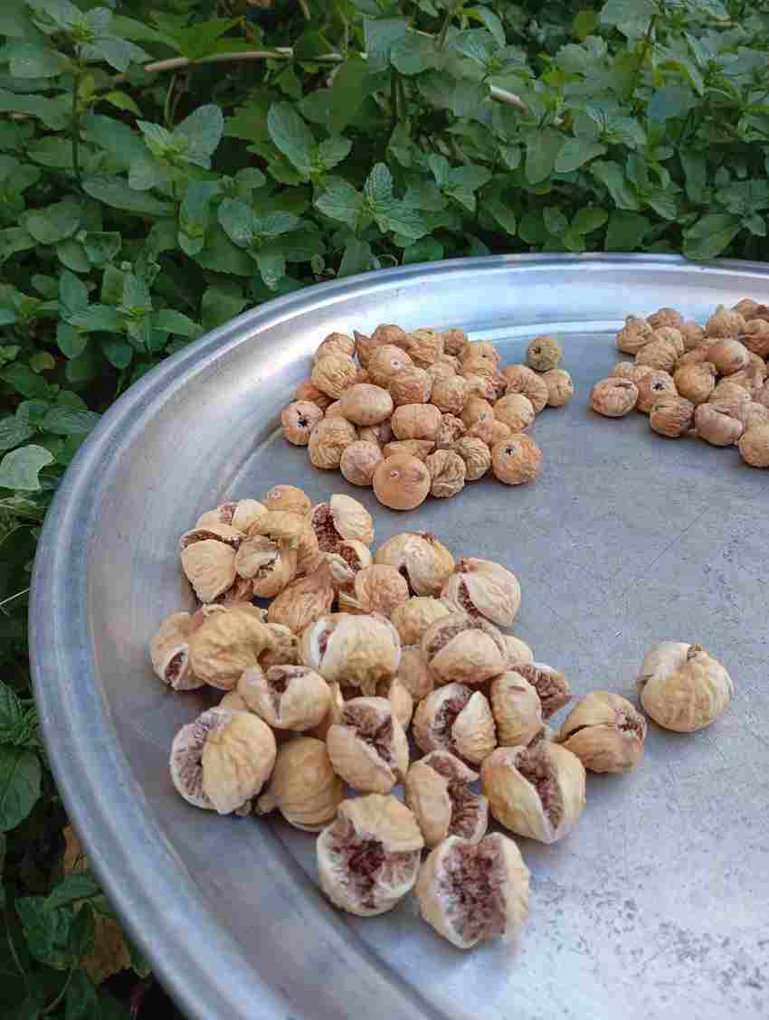 تصویر 4 از انجیر خشک نخی در بسته بندی ویژه