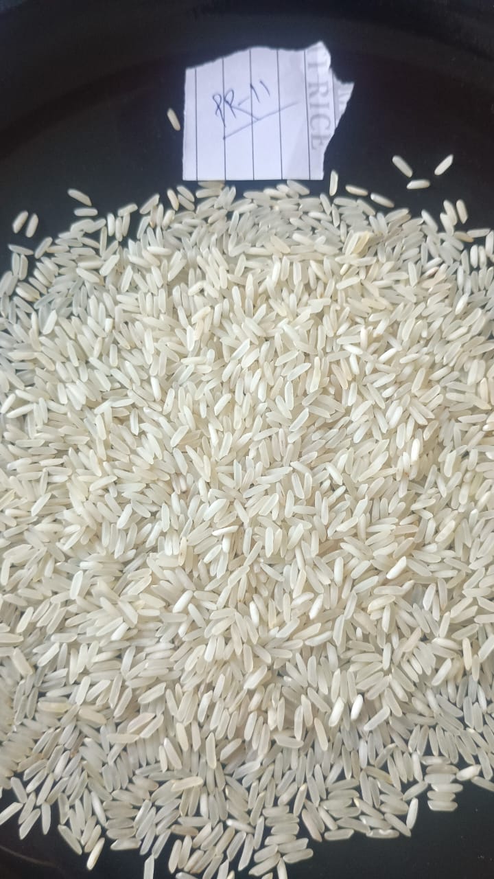 تصویر 1 از برنج  شیرودی ندا و فجر