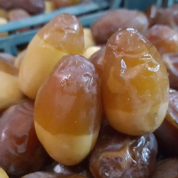 خرید اقتصادی رطب کبکاب بوشهر با کیفیت ممتاز