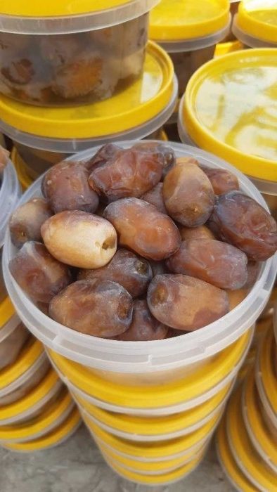 تصویر 1 از خرید اقتصادی رطب کبکاب بوشهر با کیفیت ممتاز