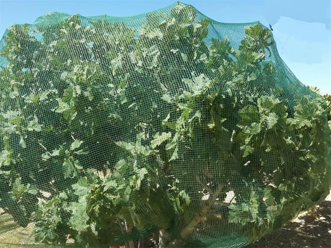تصویر 1 از فروش توری ضد پرنده