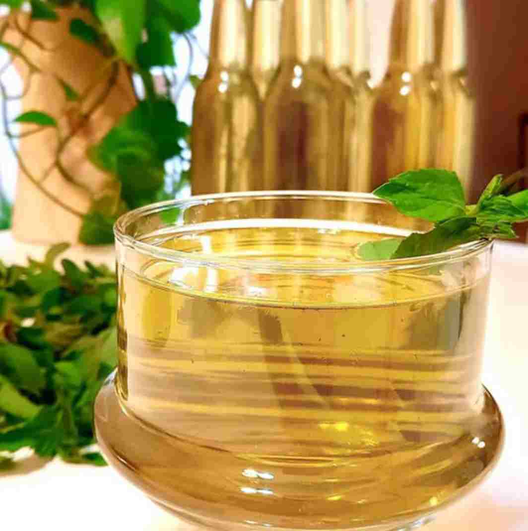 تصویر 1 از شربت سکنجبین عسل نعنایی + خرید عمده