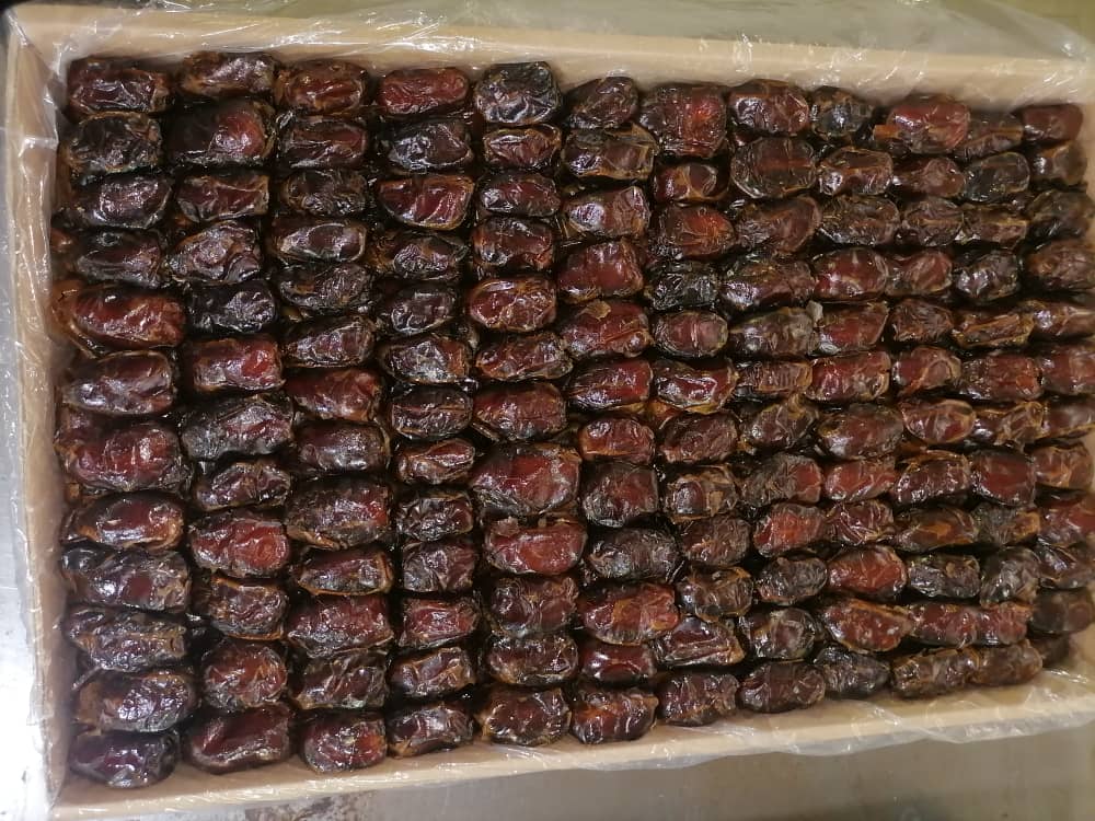 خرید خرما کبکاب + قیمت ویژه