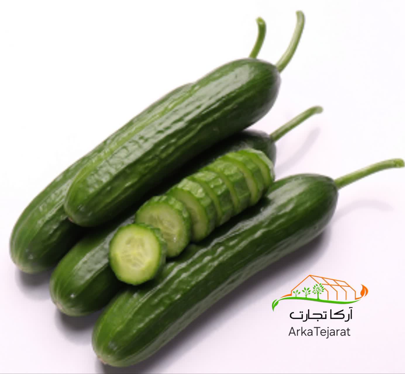 تصویر 4 از فروش انواع بذر خیار گلخانه ای کشت پاییزه + با بهترین قیمت