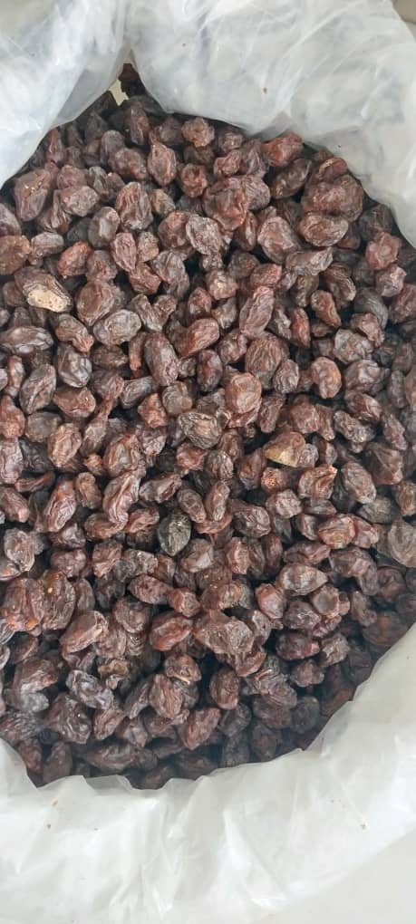 تصویر 1 از خرید کشمش مویز دشمن زیاری