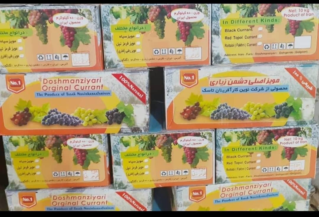 تصویر 4 از خرید کشمش مویز دشمن زیاری