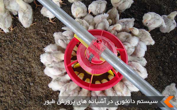 قیمت خرید عالی + دانخوری بوقلمون اتوماتیک