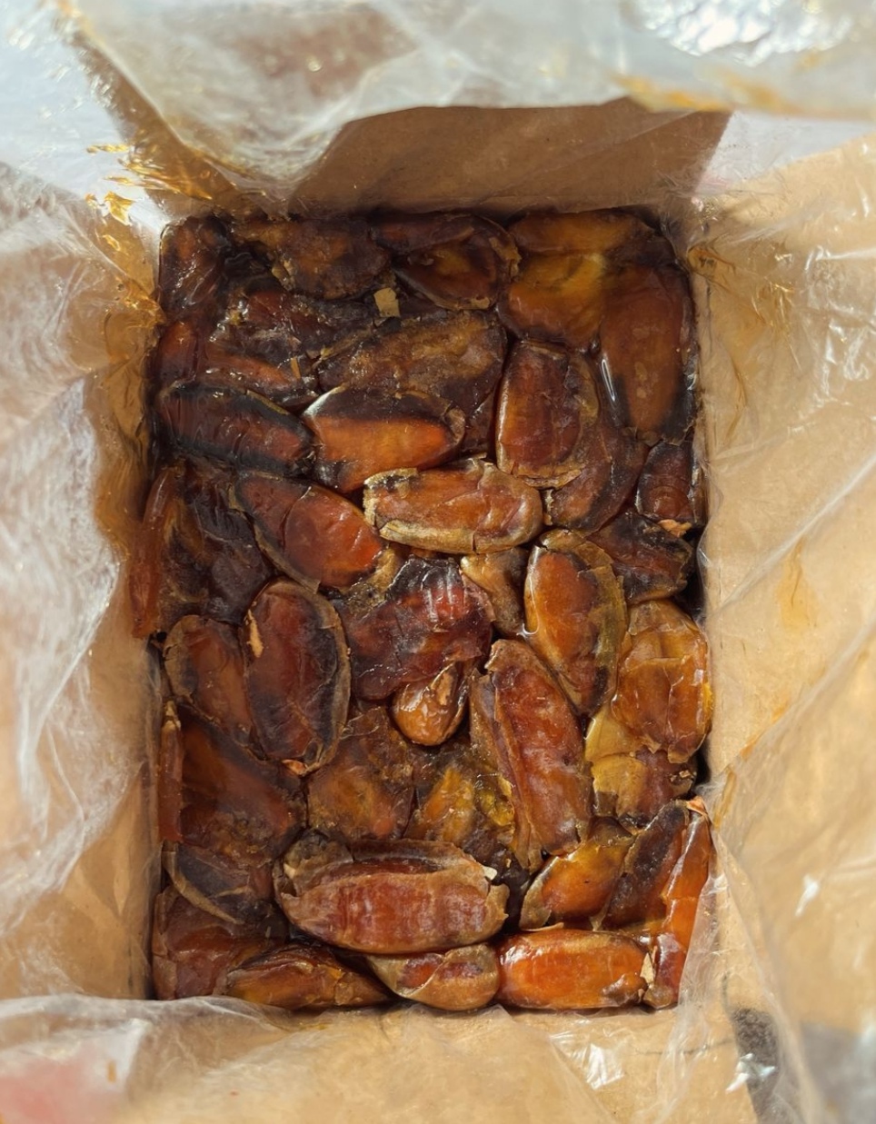 تصویر 1 از خرید خرمای شاهانی یاقوت شیراز + فروش استثنایی