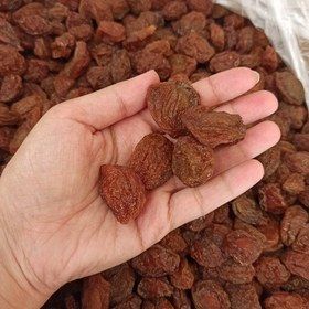 فروش آلو خوانسار گوشتی درجه یک