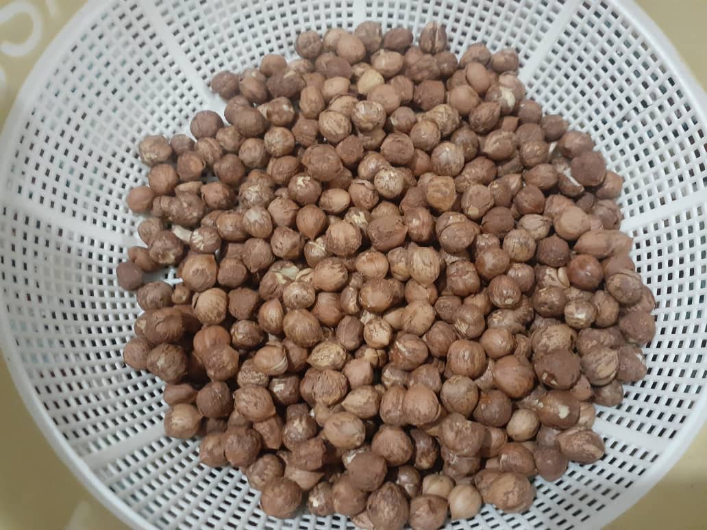 تصویر 1 از فروش فندق اصل