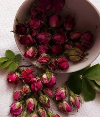 قیمت اقتصادی و به صرفه غنچه گل محمدی + خواص