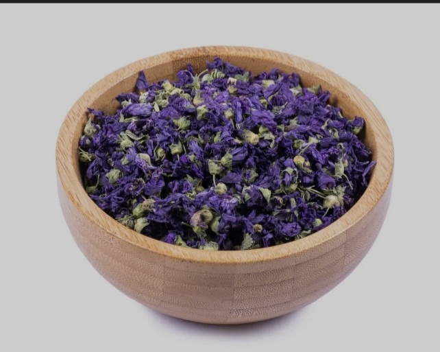 فروش گیاه پنیرک