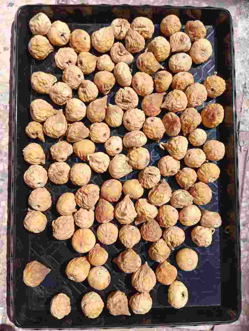 تصویر 2 از قیمت انجیر خشک فله + فروش ویژه