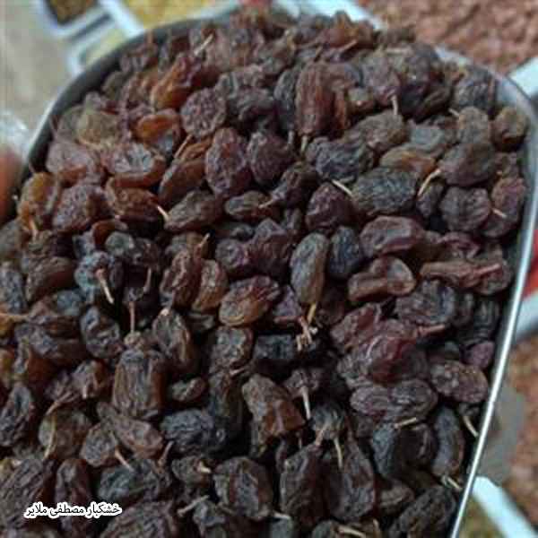تصویر 4 از فروش کشمش آفتابی زنجان
