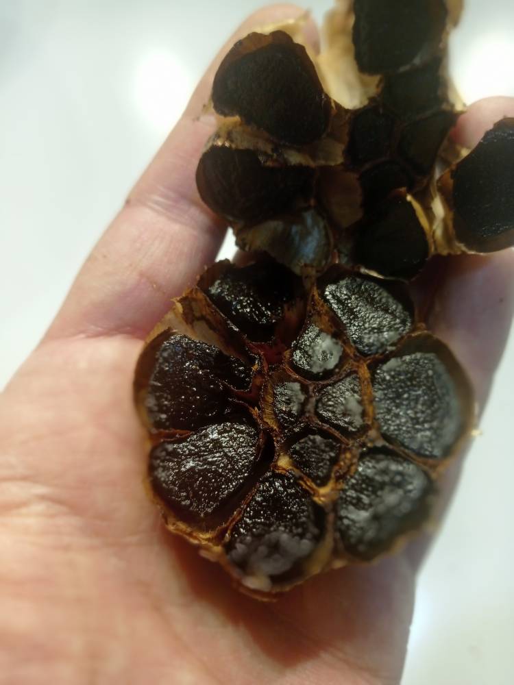تصویر 1 از سیر سیاه شمال